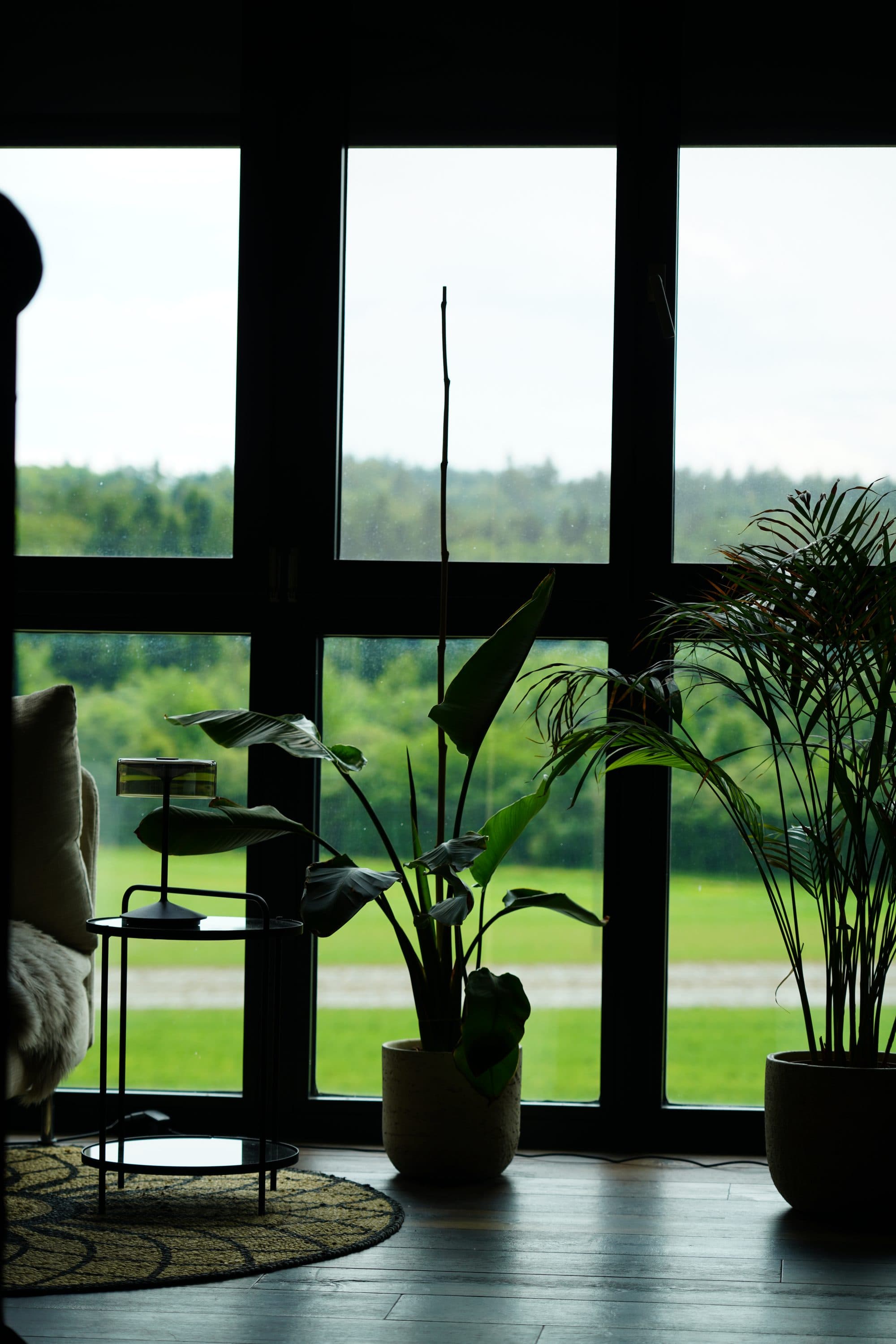 Ruhiger Blick durch ein grosses Fenster